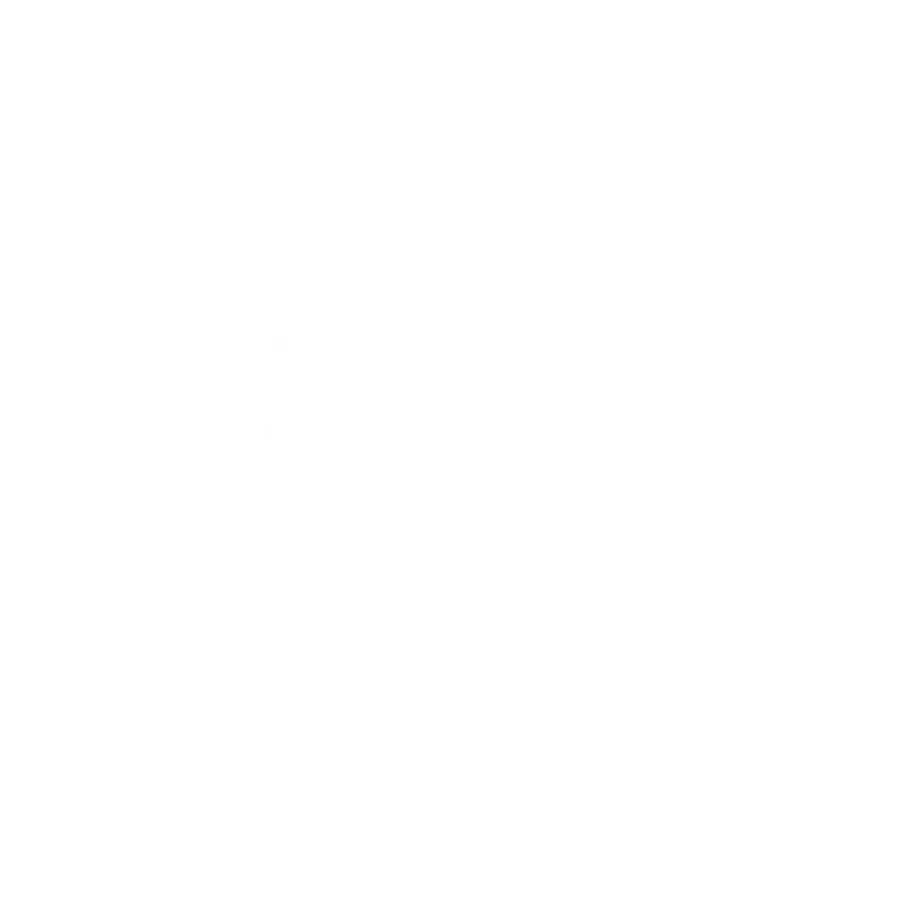 The Night